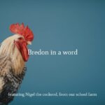 Bredon in a word