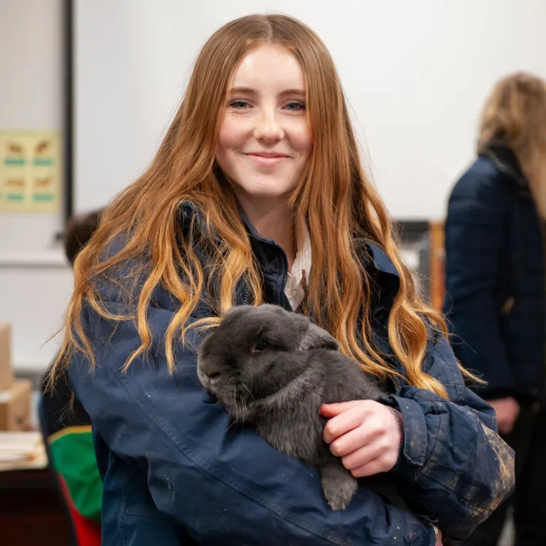 Young girl with long red hair in a blue jacket gently holding a black rabbit indoors, smiling at the camera.
