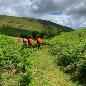 Hikers wearing bright orange backpacks walk along a grassy hillside under a cloudy sky.