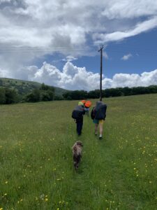 Hikers with large backpacks walk along a grassy meadow dotted with yellow flowers, a small dog ahead on a path under a blue sky with clouds.