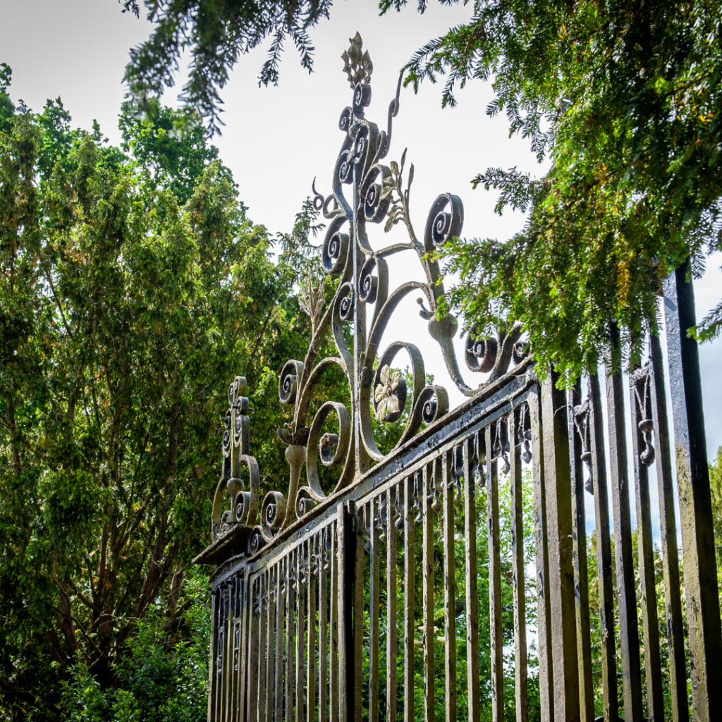 Ornate wrought-iron gate with decorative scrollwork towering above a garden entry.